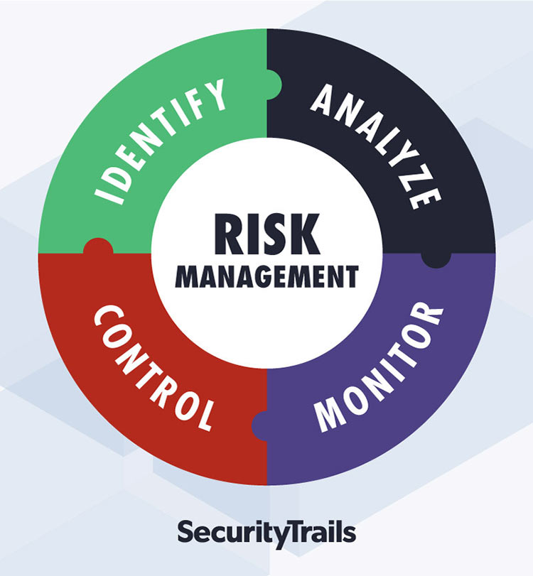 Risk management process