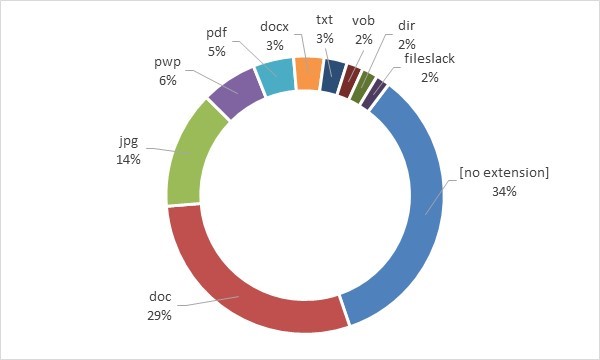 A donut shape chart showing the top 10 file format by percentage