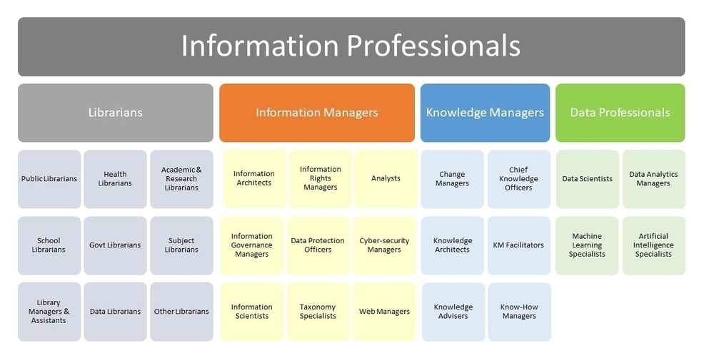 Information Professionals