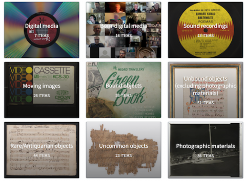 Screenshot of browse categories featured on the Digitization Exemplars exhibit